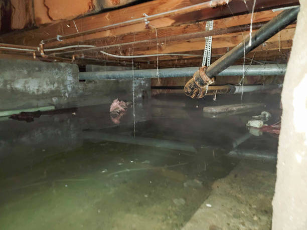 Best Water damage restoration near me  in Dunkirk, IN