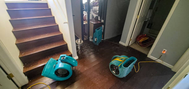 Best Emergency water damage restoration  in Dunkirk, IN