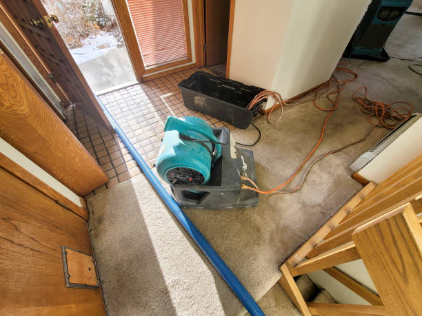 Best Water damage restoration services  in Dunkirk, IN