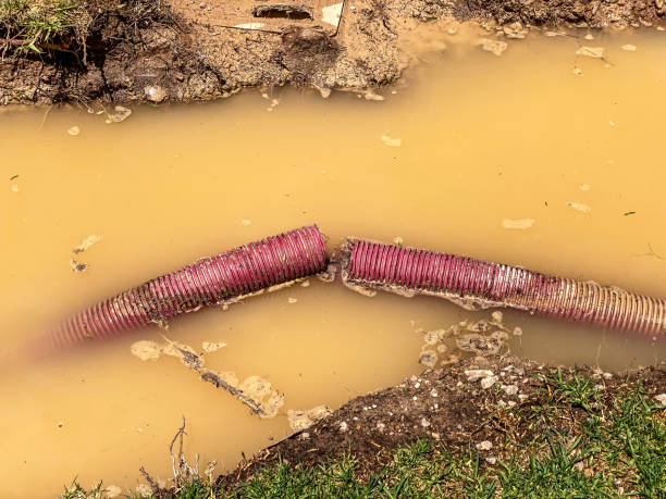 Best Water damage cleanup near me  in Dunkirk, IN
