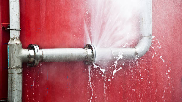 Best 24/7 water damage repair  in Dunkirk, IN